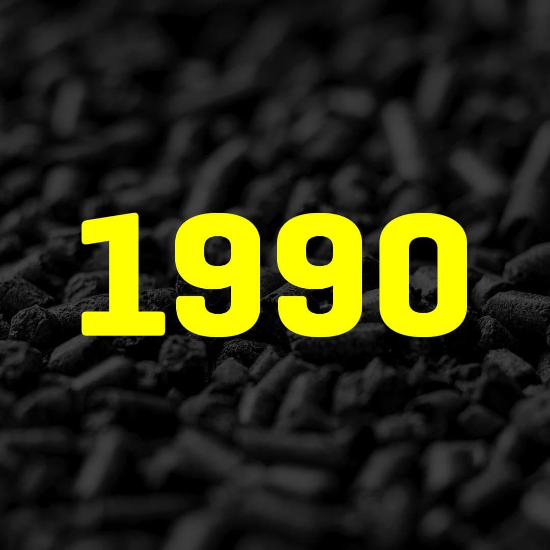 1990’erne